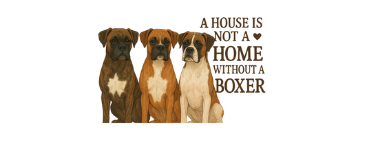 11oz Mug - Not a home - Boxer